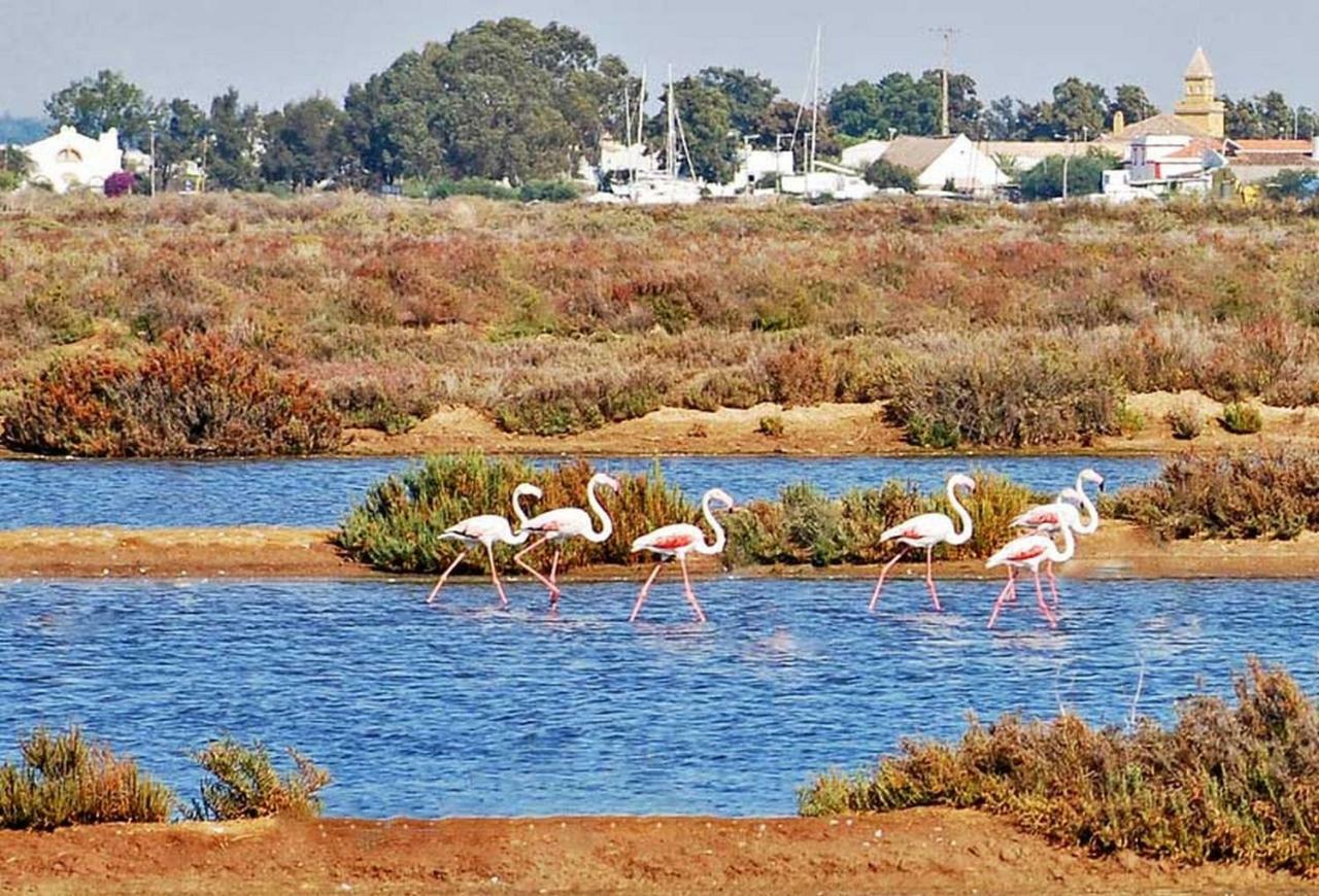 לינה וארוחת בוקר São Bartolomeu de Messines Casa Dos Ninos מראה חיצוני תמונה